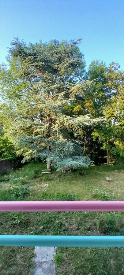 La Croisee Des Chemins Arques-la-Bataille Buitenkant foto